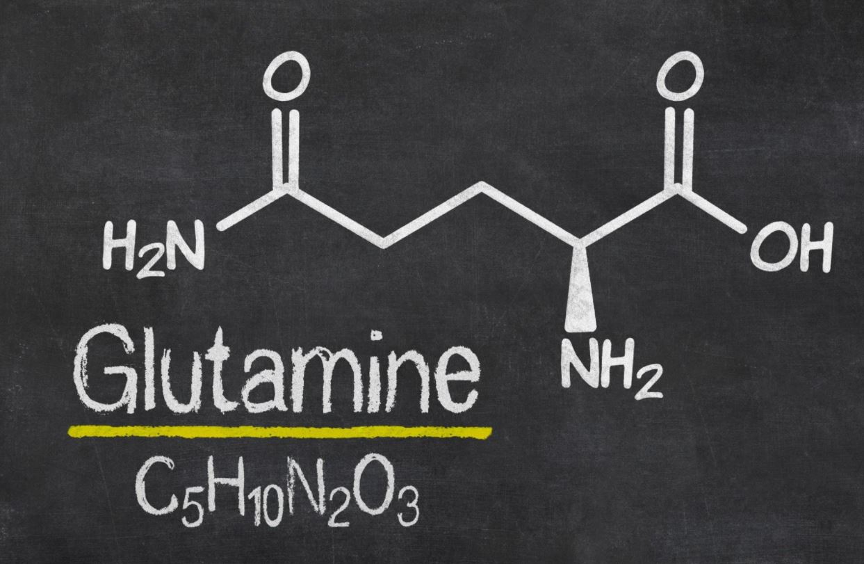 گلوتامین چیست؟