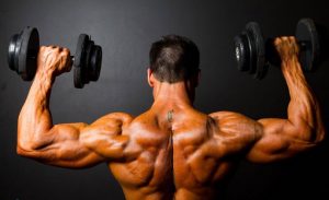 The Link Between Genetics and Muscle Growth