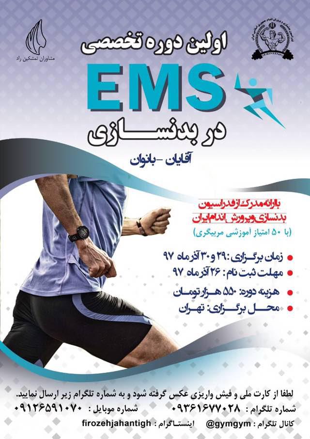 کارگاه EMS