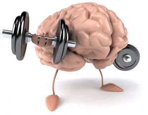 the brain sport