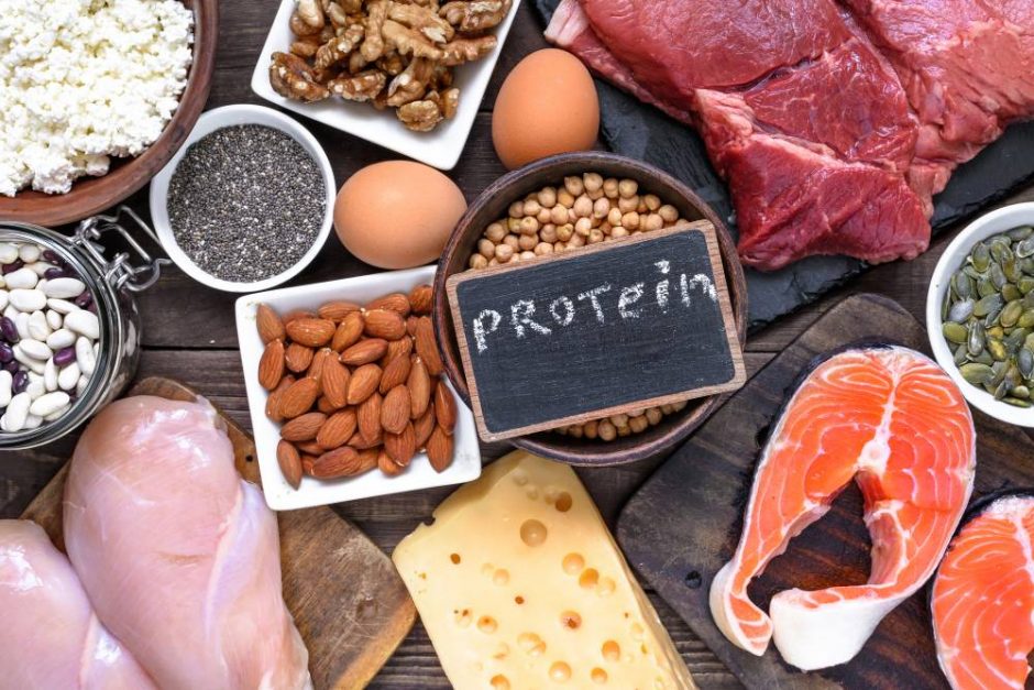 پروتئین مورد نیاز در طول روز