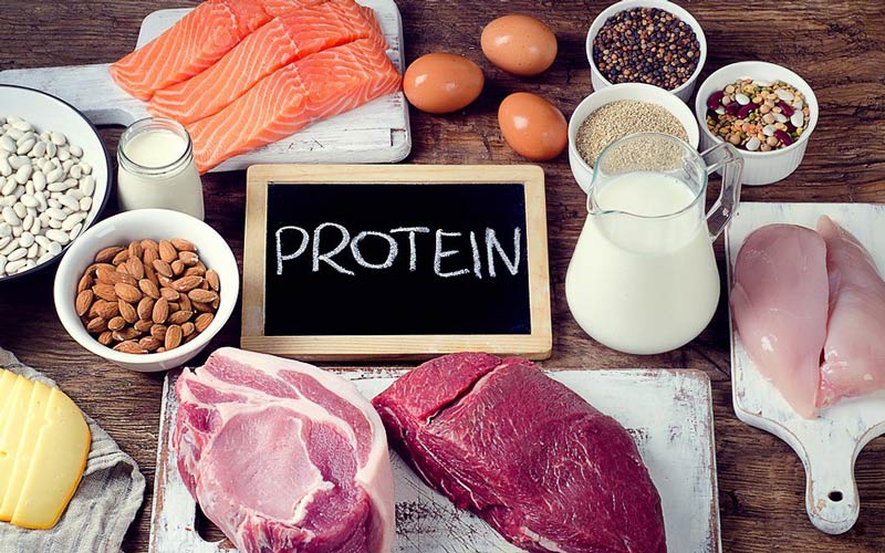  بدن شما چه مقدار پروتئین می تواند جذب کند